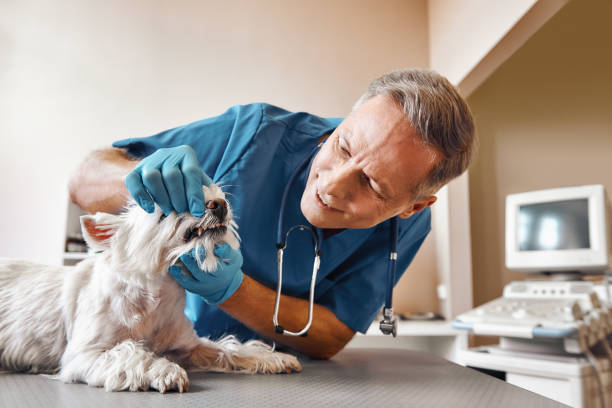 Best Pediatric Emergency Dentist in Guymon, OK